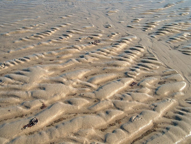 Eco-Friendly Reusable Bags